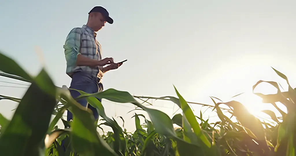 Farmer in field looking at tablet